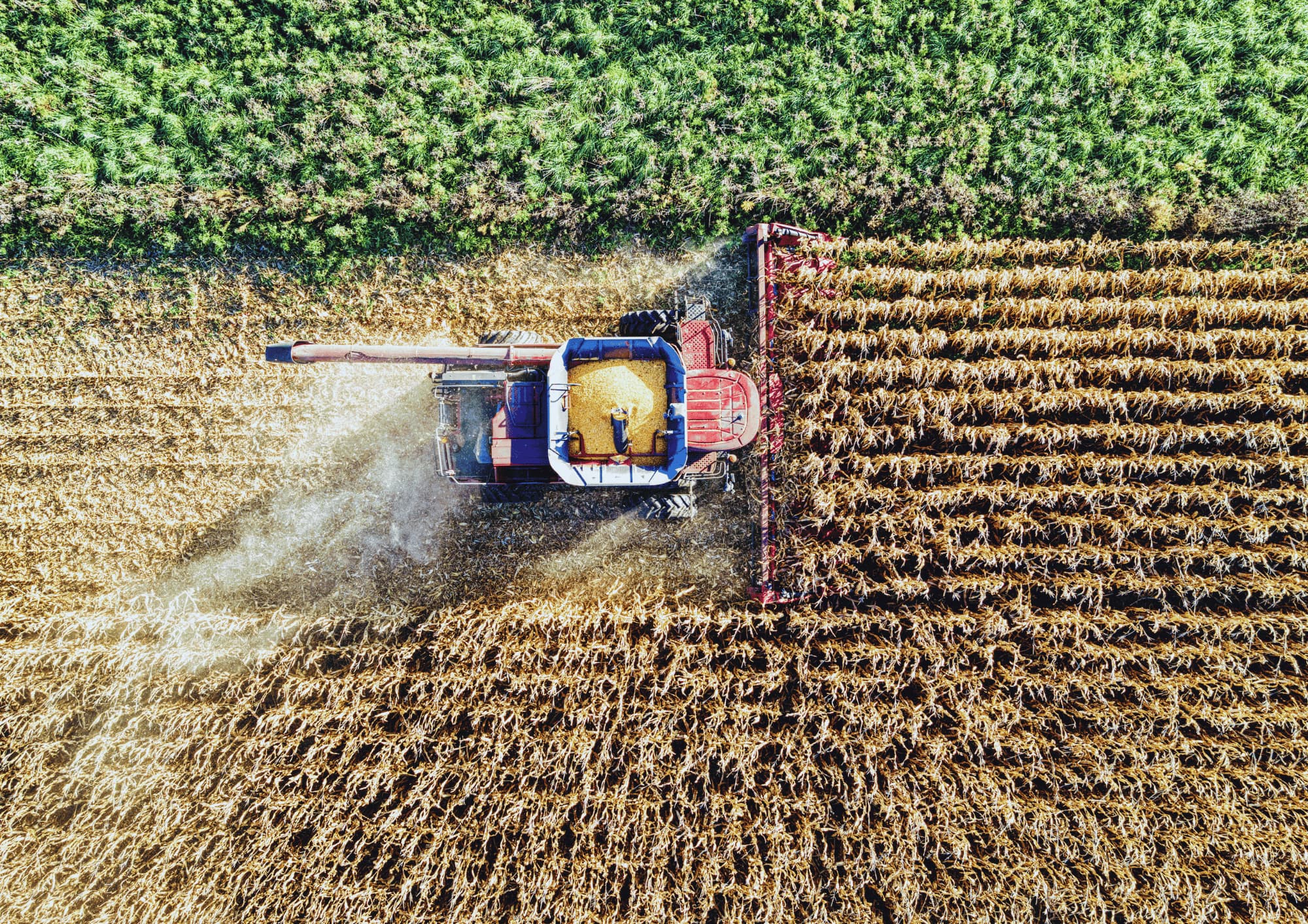 Agribusiness & Food sector