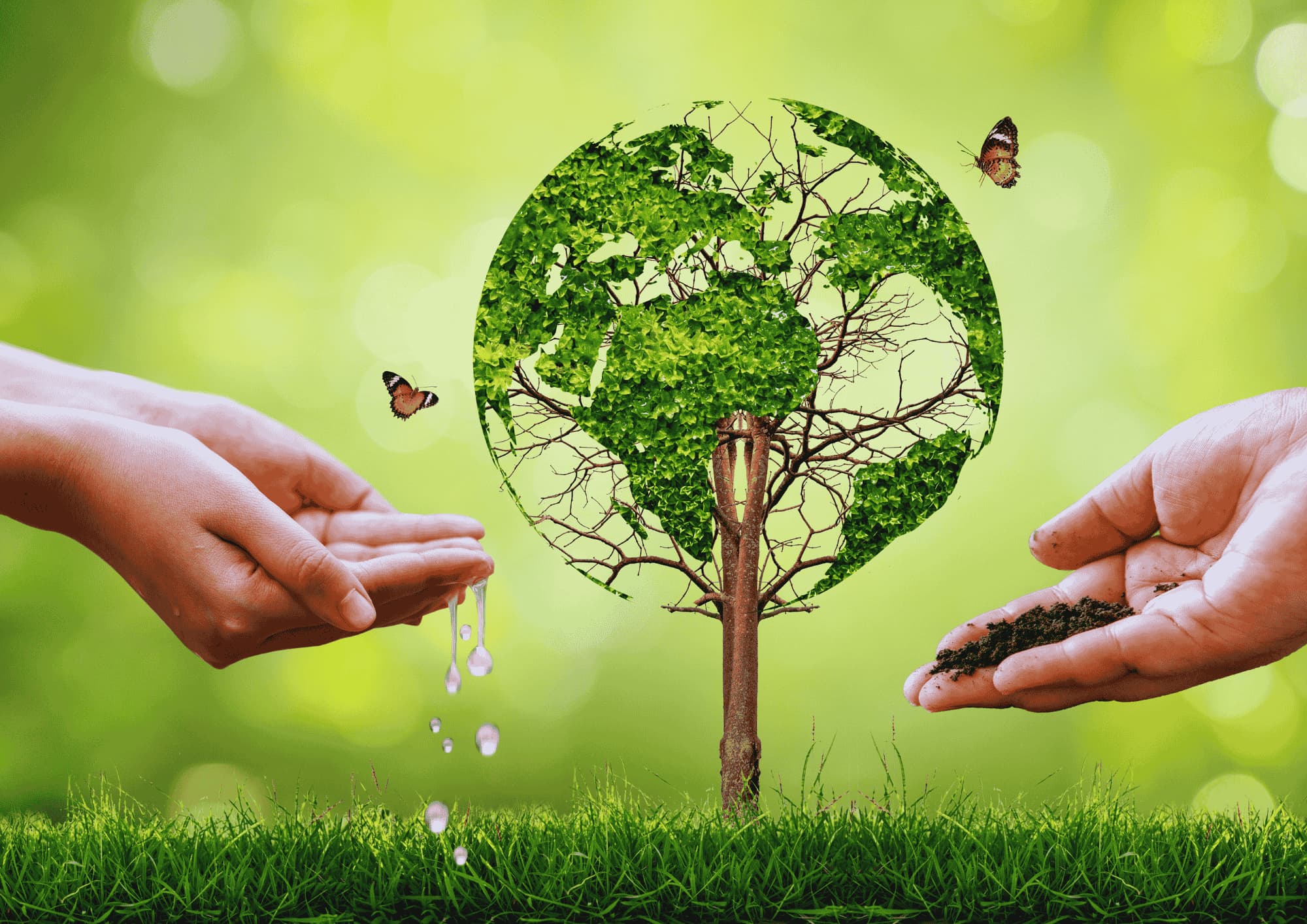 Environment sector